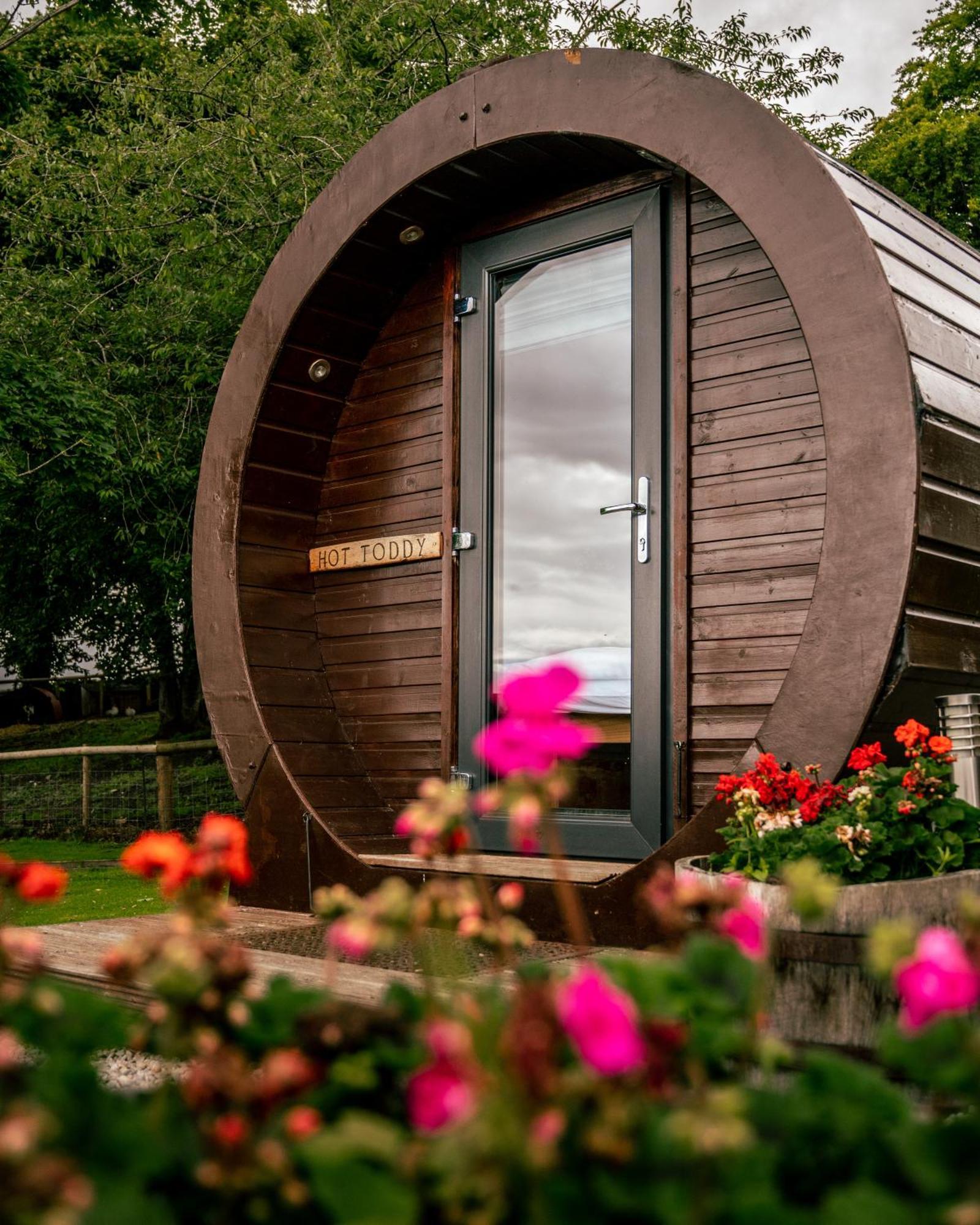 Campsite Delny Glamping And Farm Animals